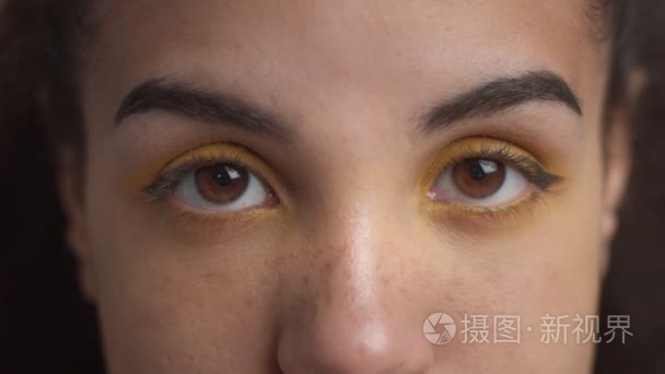 猫头鹰与黄色的眼睛视频素材