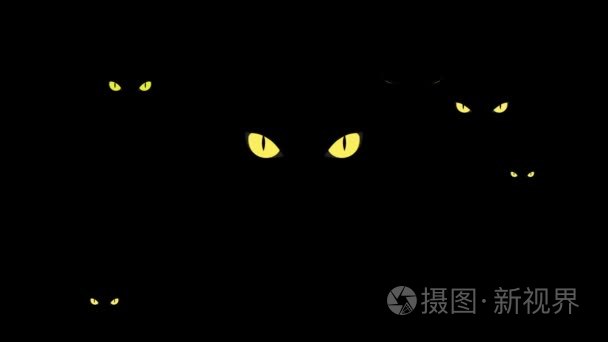 黑暗中危险的黄色野猫眼视频