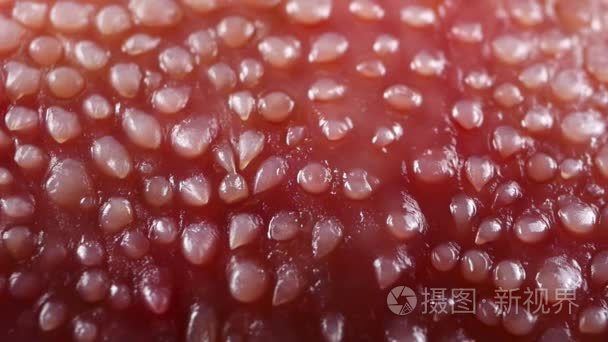 生牛肉粉红色牛舌黑色背景视频