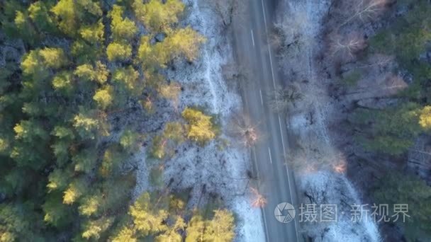 冰雪覆盖的冬季冰冻森林鸟瞰图视频