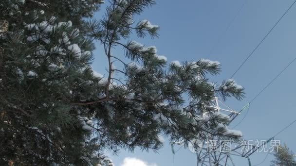 覆盖着一层薄薄的积雪树枝, 电线杆和电线, 在蓝天上