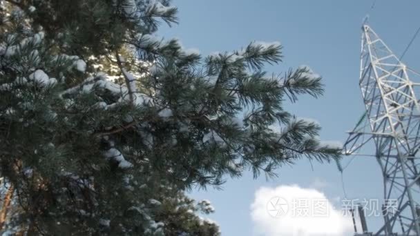 覆盖着一层薄薄的积雪树枝  电线杆和电线  在蓝天上