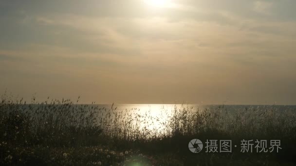 海边的夏日日落。小男孩跑向太阳与五颜六色的风筝在他的手头顶上