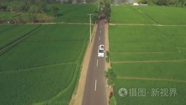 稻田间马路上的白色汽车鸟瞰图视频