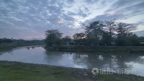 Timelapse 日出在河旁边水牛专栏