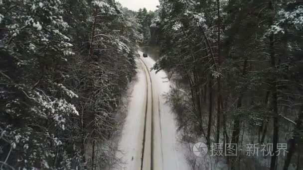 冬季森林中汽车行驶的鸟瞰图视频