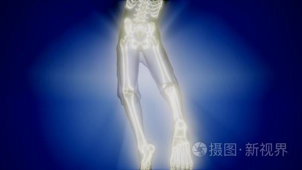人体骨骼放射医学扫描视频