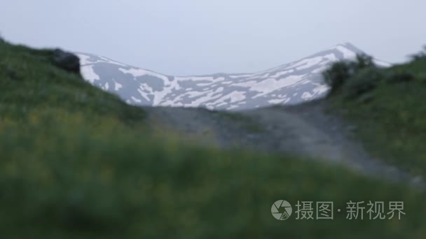 高加索山脉高加索美女自然佐治亚动物视频