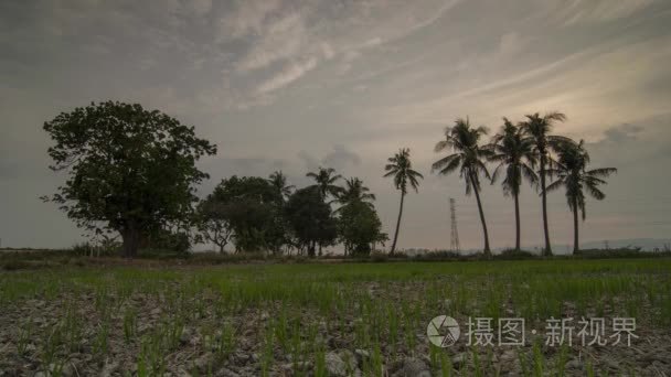 Timelapse 日落干燥场收获后