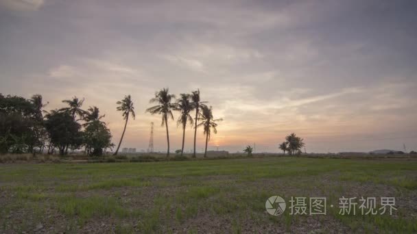 旱稻田 Timelapse 日落