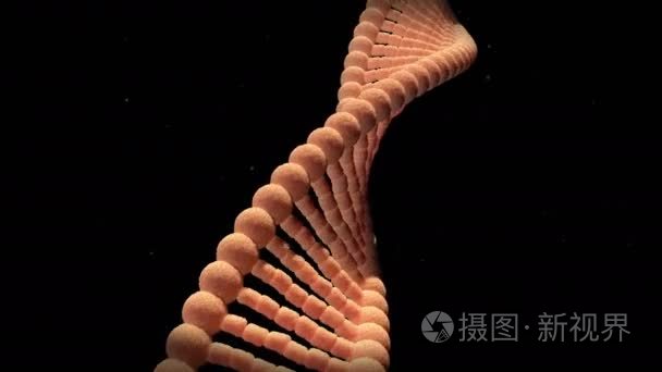 能够循环的 Dna 分子