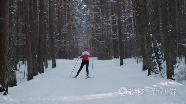 人单独滑雪在自然视频