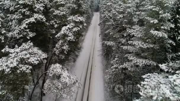 冬雪森林鸟瞰图视频