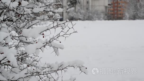 俄罗斯莫斯科的冬季景观视频