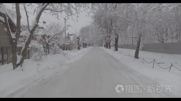 冬季道路和景观树结的霜雪