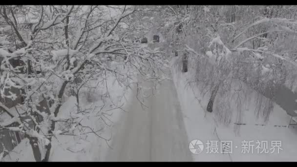 冬季道路和景观树结的霜雪