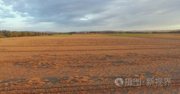 金黄收获的农场领域空中