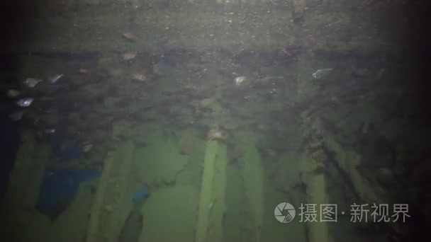 海床海底红海海难视频