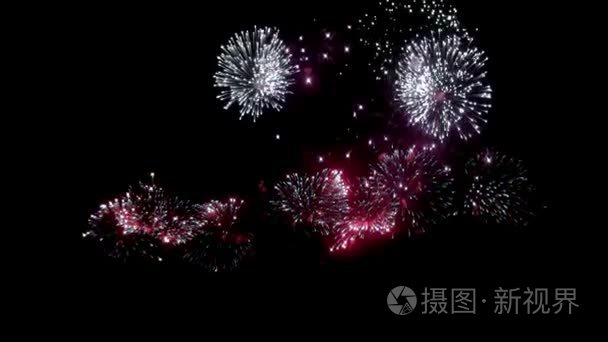 夜间烟花汇演黑色背景视频