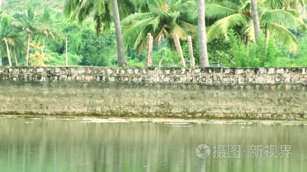 水池塘在自然背景下视频