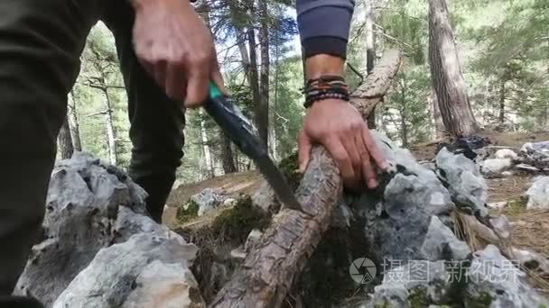 一个男人用手锯锯一棵木头视频