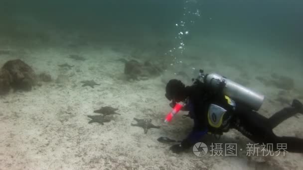 海床背景下的水肺潜水员和海星视频