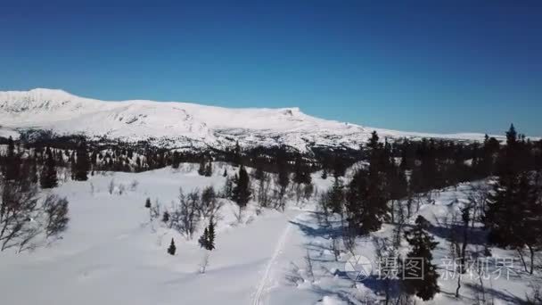 缓缓飞越树木和大山冬季景观视频