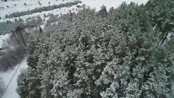 冬雪森林鸟瞰图视频