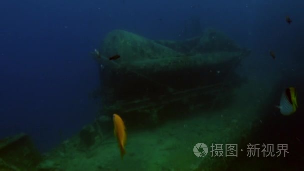 水下红海沉没船视频