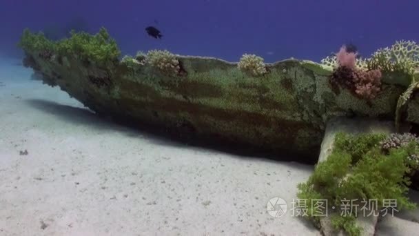 海床海底红海海难视频