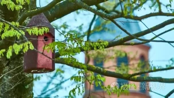 城市公园里的鸟笼挂在树上视频