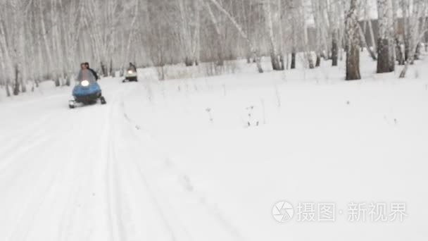 雪橇穿过树林去西伯利亚视频