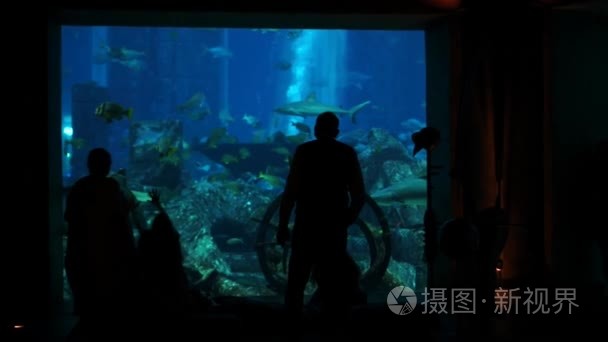 在迪拜观看大型水族馆的人们视频