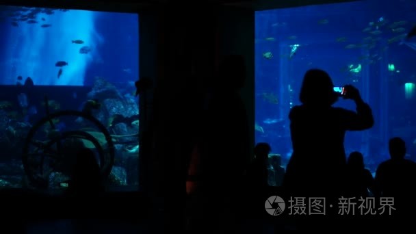 在迪拜观看大型水族馆的人们