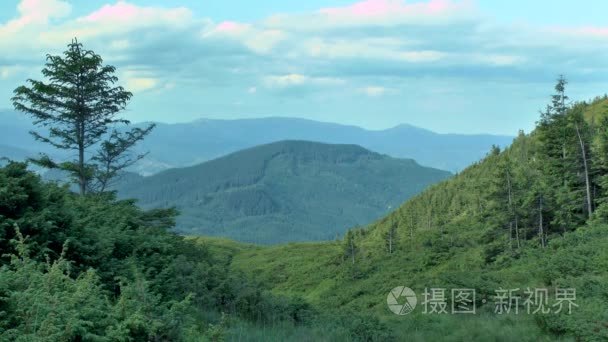 山风景与冷杉树和杜松在前景视频