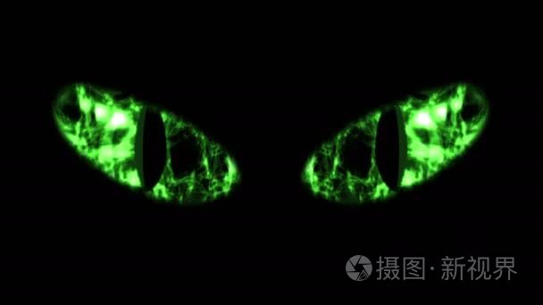 可怕的绿色黑猫眼球视频