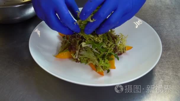 餐饮设计师餐厅美食厨师套餐视频