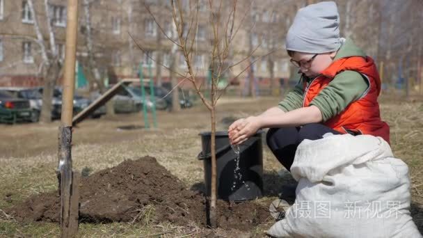 春天。一个小男孩在多层住宅楼旁边种植果树。生态  在街道上种植幼苗。滴水慢慢从孩子的小手掌下降到
