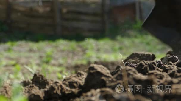 用铲子挖地球。他在花园里从事农业。种植植物和蔬菜的土壤的准备。农夫在干活。破坏原始土壤