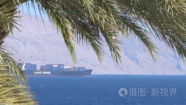 从热带岛运来的货船视频