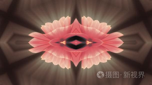浅色背景视频素材 浅色背景实拍视频下载 第1页 摄图新视界视频库