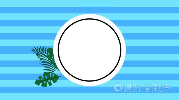 夏季热带模板视频