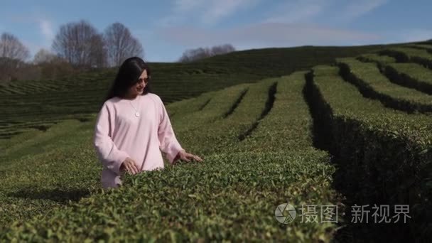 一个年轻的女人在茶园里, 她接触树叶