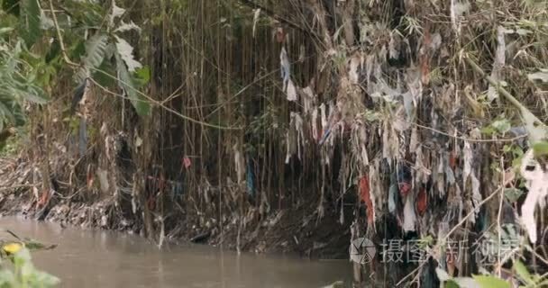 大量的塑料袋和垃圾附着在河边的植物上视频