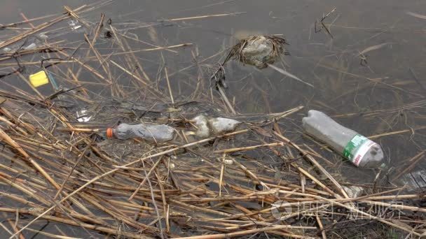 水库岸边附近水中的塑料垃圾