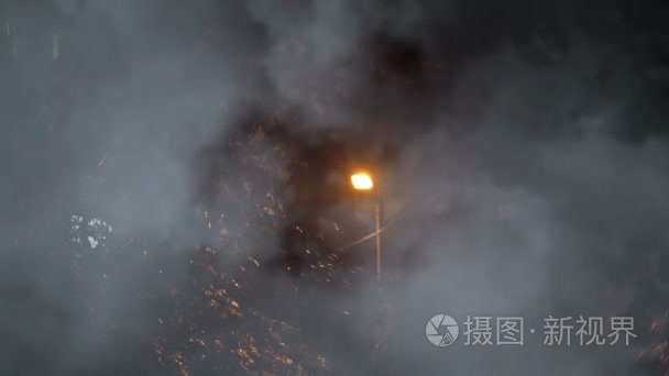 雾雨夜视频