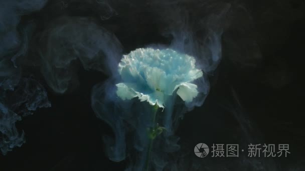 抽象自然与花和墨水云彩视频