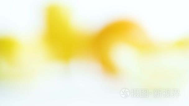 模糊的抽象4k 画面的黄色, 橙色和绿色的斑点流在白色的背景。弥散柠檬桔子和薄荷的看法