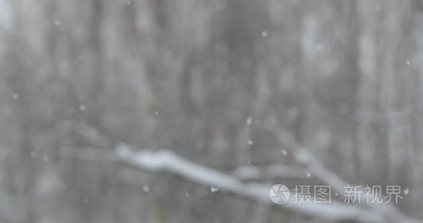 雪缓缓落下视频