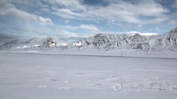 北极雪背景下的狗队雪橇视频